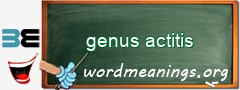 WordMeaning blackboard for genus actitis